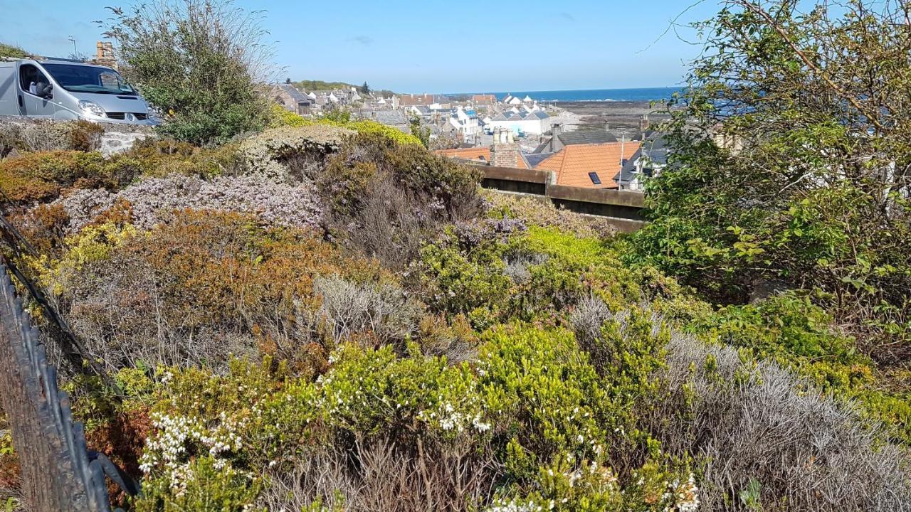 Myrtle Cottage Johnshaven Eksteriør bilde